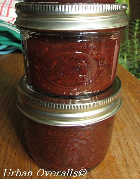 jarred chipotles in adobo sauce Diy Chipotle, Chipotle In Adobo, Canning Peppers, Chipotle Peppers In Adobo Sauce, Canning Salsa, Gluten Free Kids, Colombian Food, Chipotle Sauce, Adobo Sauce