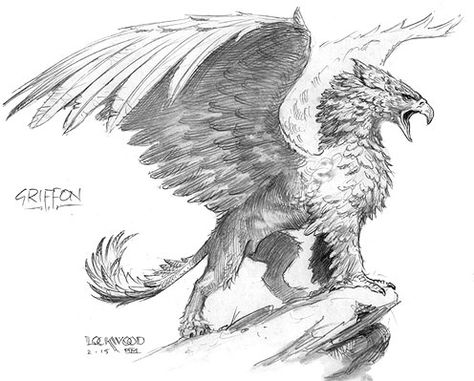 Proud gryphon Griffon Tattoo, Griffin Drawing, Todd Lockwood, Griffin Mythical, Griffin Tattoo, Mythological Animals, Mythical Animal, Fantasy Beasts, An Eagle