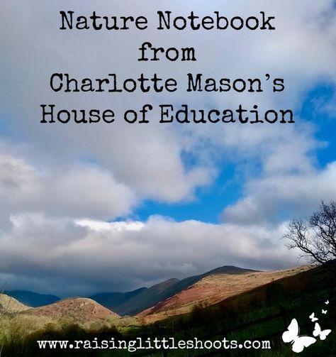 Nature Notebook from Charlotte Mason’s House of Education Kids Nature Activities, Ambleside Online, Nature Notebook, Homeschool Nature Study, Charlotte Mason Homeschool, Exploring Nature, Homeschool Learning, Living Books, Homeschool Planner