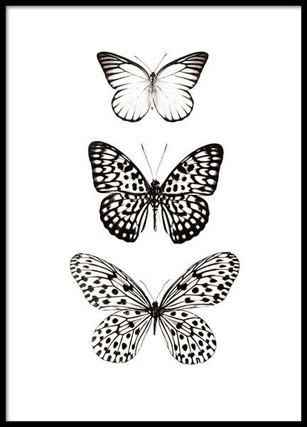 Ako Kresliť, Desenio Posters, Three Butterflies, Art Papillon, Butterfly Poster, Animal Illustrations, Butterfly Drawing, Black And White Posters, Online Wall Art