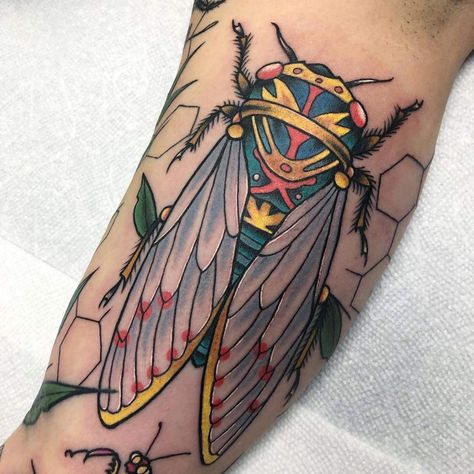 Wasp Tattoo, Cicada Tattoo, Bug Tattoo, Insect Tattoo, Traditional Tattoo Design, Tattoo Portfolio, 1 Tattoo, Tattoo Supplies, Creative Tattoos