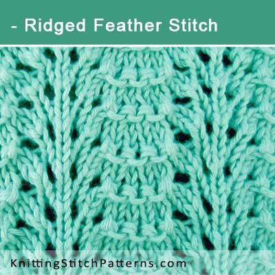 Ridged Feather Stitch. Free Lace Knitting Pattern includes written instructions and video tutorial. Feather And Fan Knitting Pattern, Lace Knitting Patterns Free Stitches, Chevron Blankets, Lace Knitting Stitches, Knitting Lace, Scarf Patterns, Feather Stitch, Knit Stitches, Knit Basket