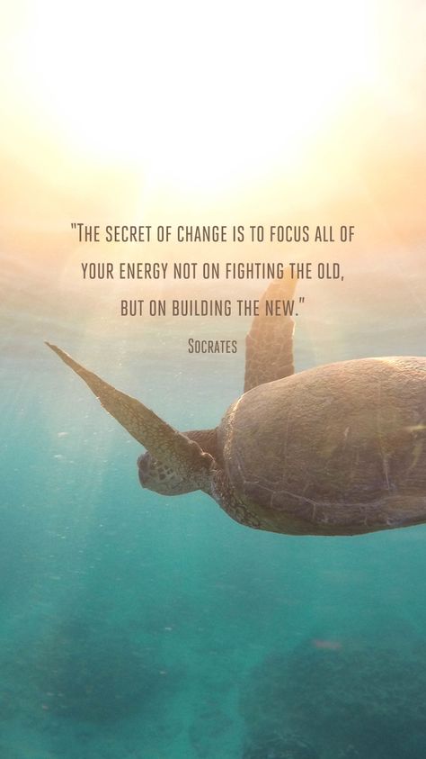 Go Within Quotes, Inspiring Spiritual Quotes, Changes In Life Quotes, Quotes On Change, Turtles Quotes, Quotes About Change, Turtle Quotes Inspiration, Quotes About Turtles, Sea Turtle Wisdom