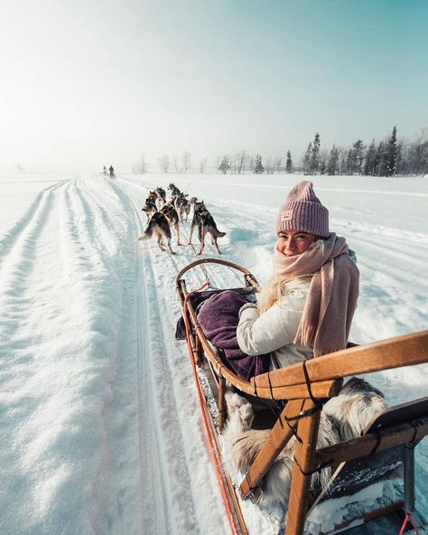 Hildegunn Taipale, Dog Sleigh, Winter Presets, I Want To Travel, Travel Goals, Travel Inspo, Sled, Adventure Awaits, Travel Bucket List