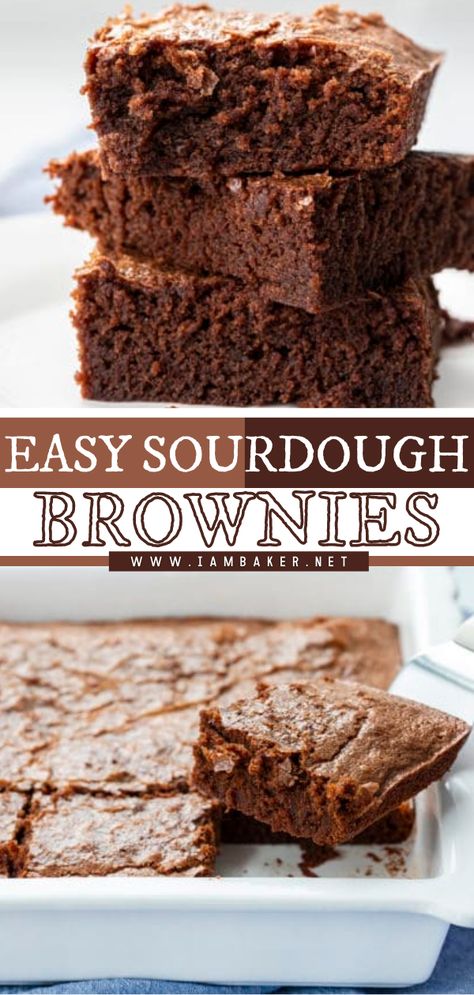 Easy Sourdough Discard Desserts, Discard Brownies Easy, Sourdough Starter Brownies, Sourdough Discard Brownie Recipes, Sourdough Brownies Recipe, Easy Sourdough Dessert Recipes, Sourdough Brownies, Easy Sourdough Brownies, Sourdough Discard Brownies Healthy