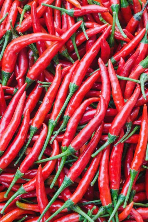 Cayenne Peppers - All About Them - Chili Pepper Madness Cayenne Pepper Plant, Types Of Chili Peppers, Plant Herbs, Cayenne Pepper Sauce, Pepper Sauce Recipe, Hot Pepper Seeds, Capsicum Annuum, Pepper Spice, Herbs Spices