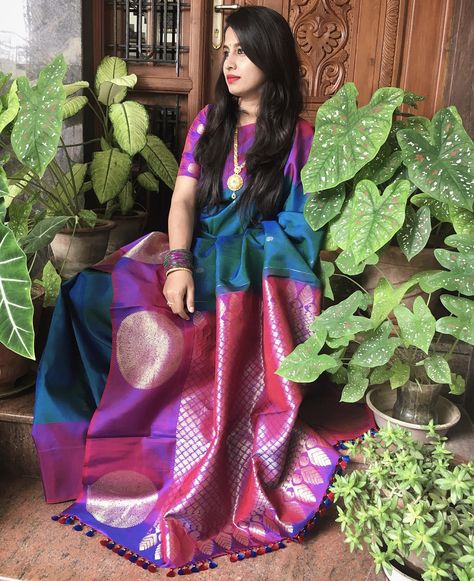 Purple and Green combination Kanjeevaram (Peacock Colours) Peacock Colour Saree, Peacock Colour, Peacock Colours, Green Combination, Peacock Color, Peacock Green, Purple And Green, Colour Combination, Color Combination