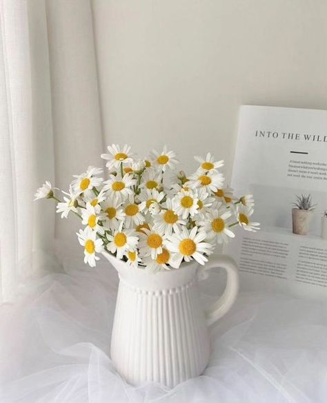 Daisy White Aesthetic, Daisy Flower Aesthetic, Canvas Art Painting Abstract, Daisy Wedding, Flower Vase Arrangements, Nothing But Flowers, Cute Pastel Wallpaper, Flower Therapy, January 11