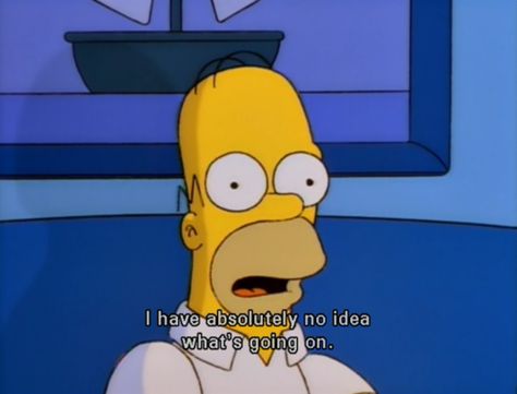 homer i have no idea what's going on Simpsons Quotes, Homer Simpson, Tv Quotes, Cartoon Quotes, Futurama, Visual Statements, Mallard, A Tv, The Simpsons