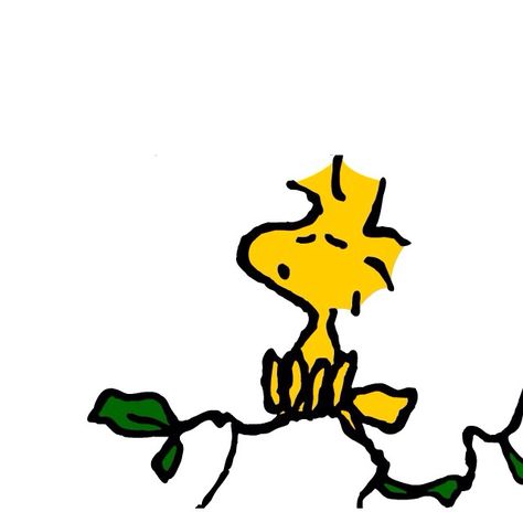 Woodstock singing Woodstock Art, Funny Snoopy, Wallpaper Snoopy, Charles Shultz, Peanuts Wallpaper, Peanut Gallery, Woodstock Snoopy, Woodstock Peanuts, Lucy Van Pelt