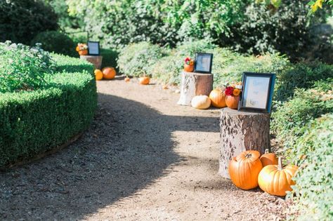 Outdoor Fall Proposal Ideas, Autumn Proposal Ideas, Pumpkin Patch Proposal Ideas, Fall Proposal Ideas Engagement, Pumpkin Patch Proposal, Proposal Ideas Pumpkin Patch, Fall Proposal Ideas, Fall Proposal, Carved Pumpkins