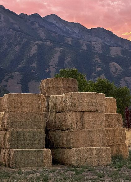 Old Time Square Hay Bales Hay Field Aesthetic, Beyonce Cowgirl, Walter Boys, Bookstagram Posts, Corn Crib, Elsie Silver, Fence Styles, Country Roads Take Me Home, Hay Bales