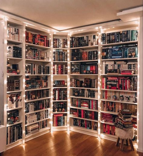 Bookshelf With Lights, Organizing Bookshelf, Bookcase In Bedroom, Beautiful Bookshelves, Dream Home Library, Home Library Rooms, Future Library, Beautiful Bookshelf, Bookshelf Inspiration