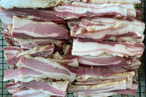 Home-Cured Maple-Bourbon Bacon Green Chile Posole, Maple Bourbon Bacon, Canadian Bacon Recipes, Pork Green Chile, Smoked Bacon Recipes, Peameal Bacon, Cured Meat Recipes, Bourbon Bacon, Bacon Seasoning