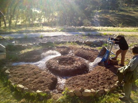 Food Forests, Food Forest Garden, Permaculture Garden, Fallen Tree, Permaculture Gardening, Permaculture Design, Urban Homesteading, Edible Landscaping, Food Forest