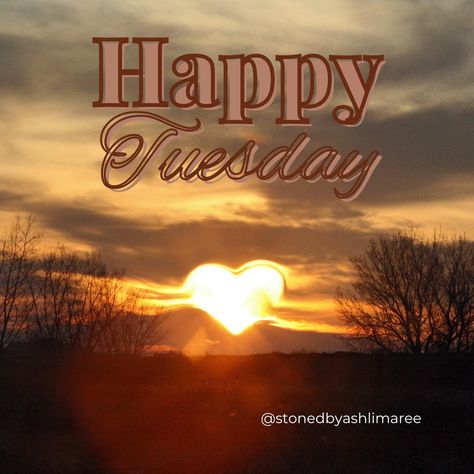 Happy Tuesday 💚 have a great and productive day! #tuesday #tuesdays #tuesdaymotivation #tuesdaythoughts #tuesdayvibes #tuesdaymorning #tuesdaymood #tuesdayquotes #motivationtuesday #dailyaffirmation #dailyaffirmationschallenge #dailyaffirmations #spring #springday #firstdayofspring Good Morning Tuesday Rainy Day, Tuesday Quotes Humor, Happy Tuesday Good Morning, Gif Tuesday Morning Greeting, Sleepy Funny, Rain Humor, Funny Tuesday Work Memes, Tuesday Meme Humor, Have A Great Tuesday