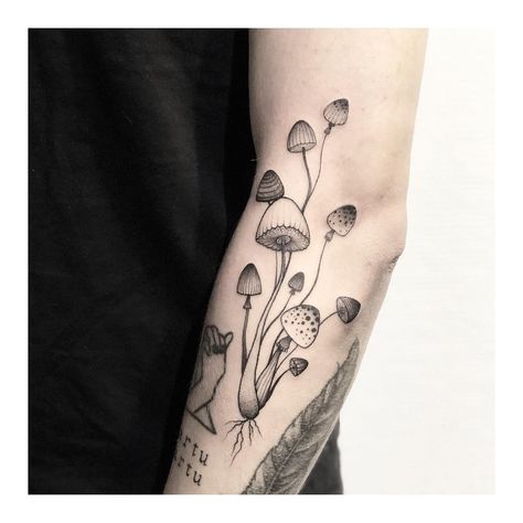 Long Stem Mushroom Tattoo, Amanita Mushroom Tattoo, Mushroom Vine Tattoo, Mushroom Arm Tattoo, Psilocybin Tattoo, Magic Mushroom Tattoo, Tattoo Mushroom, Seed Tattoo, Moon Mushroom