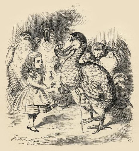 Thimble Illustration, Alice In Wonderland Illustrations, Alice In Wonderland Characters, Interesting Photography, John Tenniel, English Art, Charles Darwin, Adventures In Wonderland, National Art