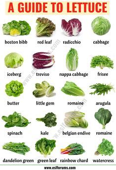 Types of Lettuce: 21 Different Lettuce Types with ESL Picture - ESL Forums Resep Burger, Types Of Lettuce, List Of Vegetables, Ambrosia Salad, Types Of Vegetables, Idee Pasto, Food Charts, Food Info, Cooking Basics