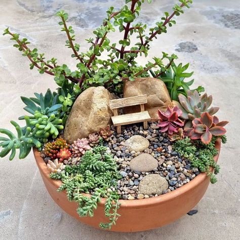 Miniature Succulent Garden, Fairy Garden Succulents, Miniature Fairy Gardens Terrarium, Fairy Succulent Garden, Succulent Fairy Garden Ideas, Small Succulent Arrangements, Dish Garden Ideas, Indoor Fairy Garden Ideas, Mini Garden Ideas