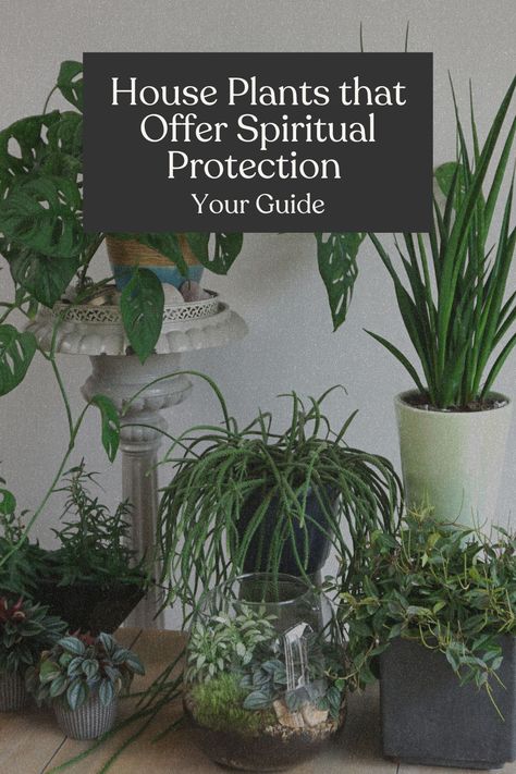 Witch House Plants, Plants For Spiritual Protection, Plants For Protection Witchcraft, Spiritual Plants For Home, Cleanse Home Spiritual, Witchy House Plants, Protection Plants Witchcraft, Plants For Protection, Home Protection Witchcraft