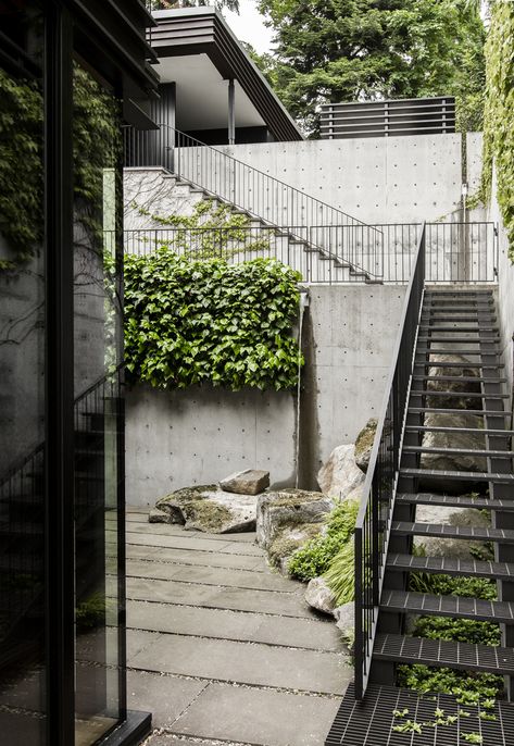 Miller Grove, Architecture Courtyard, Timber Stair, Stair Spindles, Staircase Handrail, Garden Stairs, Stairs Architecture, Courtyard House, House Stairs