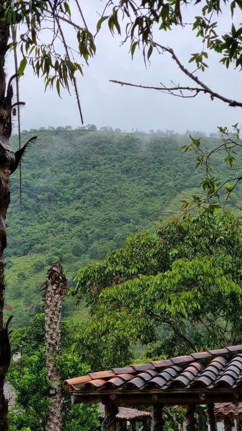 Colombia Mountains and Rainforest Colombia Rainforest, Travel America, Gap Year, America Travel, Luxury Lifestyle, South America, Paradise, Gap, Patio