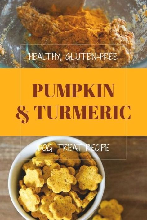 Turmeric Dog Treats Homemade, Tumeric Dog Treats Recipes, Dog Treats Homemade Pumpkin, Dog Cookie Recipes, Homemade Dog Cookies, Easy Dog Treat Recipes, Dog Biscuit Recipes, Healthy Dog Treats Homemade, Easy Dog Treats