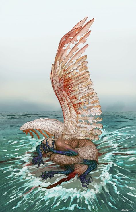 Bw Usagi, Fly Painting, Wing Illustration, Bird Person, Water Wings, Winged People, Bird People, Le Cri, Monster Concept Art