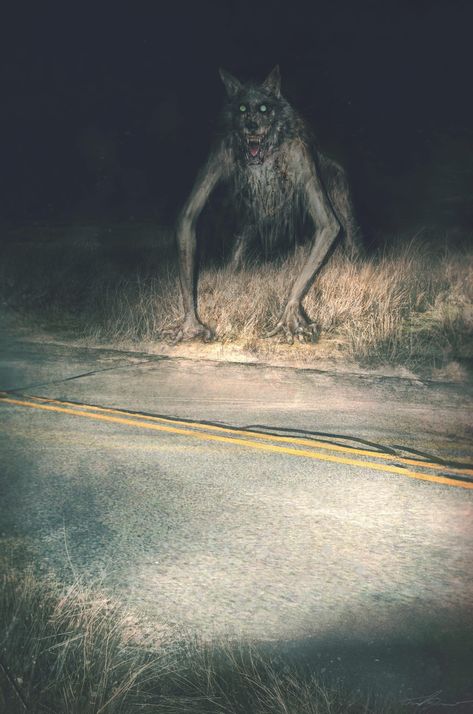 Dark Werewolf Art, The Beast Of Bray Road, Creepy Monster Art, Werewolf Cute, Creepy Cryptids, Dogman Cryptid, Beast Of Bray Road, Scary Werewolf, Paranormal Creatures