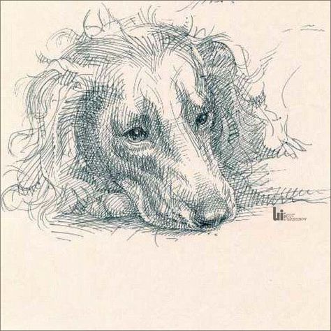 Dog cross hatching, interesting the dog fades into the paper Sketch Hatching, Linoprint Ideas, Hatching Drawing, Cross Contour, Hatch Drawing, Micron Pen Art, Awesome Drawings, Contour Lines, Dog Sketch