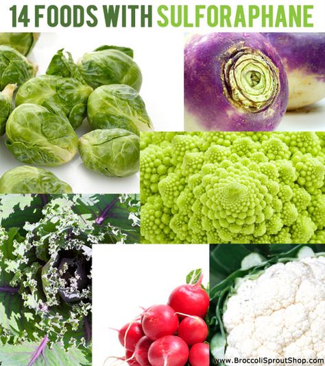 List of 14 Sulforaphane Foods Sulforaphane Foods, Sulphoraphane Benefits, Sulfur Rich Foods, Black Bean Nutrition Facts, Benefits Of Alfalfa Sprouts, Sulfur Supplement Benefits Of, Broccoli Plant, Cruciferous Vegetables, Vegetable Benefits