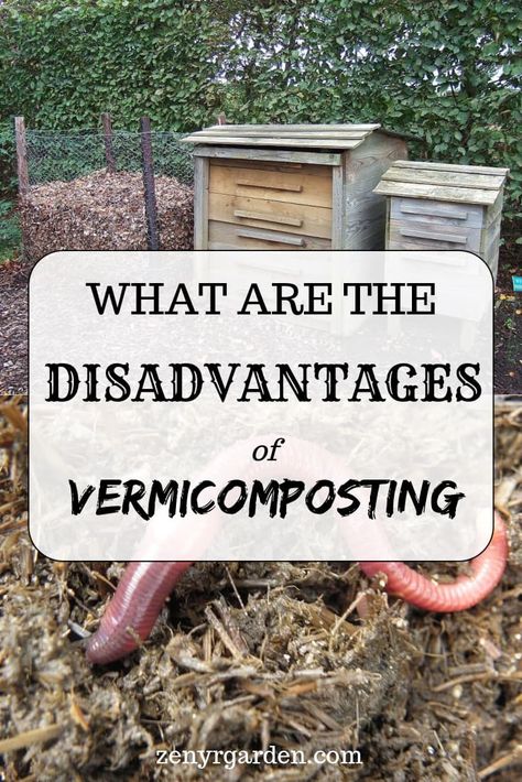 Indoor Worm Composting, Worm Composting For Beginners, In Bed Vermicomposting, Vermicomposting For Beginners, Worm Composter Diy, In Ground Worm Compost, Vermiculture Worm Farm Diy, Vermicomposting Diy, Growing Worms