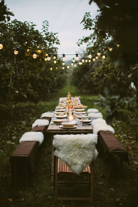 Food Conversation, Hygge Wedding, Autumn Gathering, Apple Orchard Wedding, Outdoor Thanksgiving, Fall Dinner Party, Outdoor Dinner Parties, Gathering Ideas, Intimate Wedding Venues