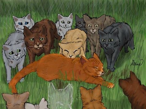 I got: Wind Clan! What Warrior Cats Clan Are You In? Warrior Cats Comics, Cat Warriors, Warrior Cats Books, Cats Books, Warrior Cats Fan Art, Love Warriors, Warrior Cats Art, Warriors Cats, The Warriors