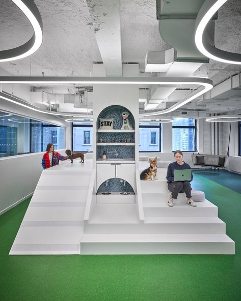 BarkBox, a company specialized in producing snacks and toys for dogs, has built a dog park inside its New York headquarters. This park, which features a climbing tower, a tunnel, a ball pit, and seats for owners, is just one of the many dog-friendly features of the office.  Their office has conventional workspaces but is designed to be “optimized for dogs and people to have fun together”. Dog Friendly Office, Dog Park Design, Dogs And People, Climbing Tower, Toys For Dogs, Dog Spaces, Office Dog, Pet Area, Dog Area