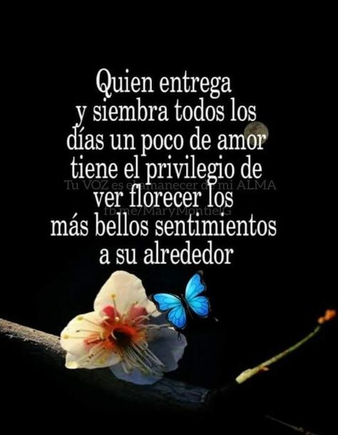 Good Morning Inspiration, Morning Inspiration, Cute Notes, Spanish Quotes, Good Night Quotes, Romantic Quotes, Wise Quotes, Positive Quotes, Motivational Quotes