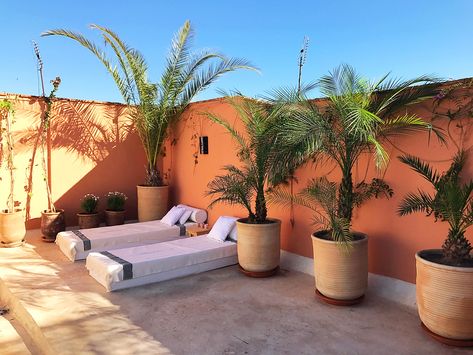 Roof Garden Hotel, Hacienda Decor, Moroccan Garden, Outside Room, Adobe House, Phoenix Homes, Marrakech Morocco, Boho House, House Plants Decor