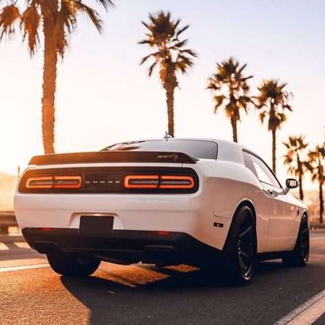 Dodge Charger Hellcat, Dodge Challenger Hellcat, Dodge Srt, Challenger Srt Hellcat, Dodge Challenger Srt Hellcat, Dodge Muscle Cars, Hellcat Challenger, Challenger Srt, Travel Car