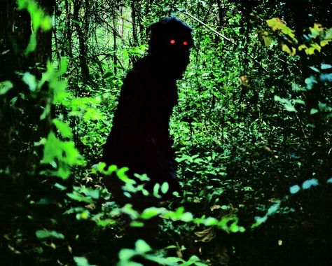 Uncle Boonmee Who Can Recall His Past Lives Uncle Boonmee, Film Studies, People Talk, Ghost Stories, Past Life, Serie Tv, Short Film, Cannes, Filmmaking