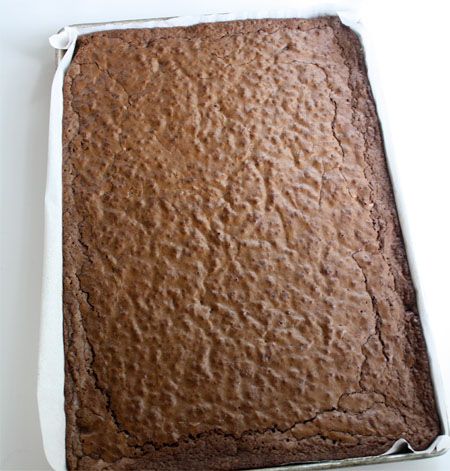 brownies in pan Large Batch Of Brownies, Brownie Recipes Large Batch, Big Batch Brownies Sheet Pan, Big Batch Brownie Recipes, Brownies For A Crowd Sheet Cakes, Large Batch Brownies Sheet Pan, Large Batch Brownies, Big Batch Brownies, Sheet Brownies