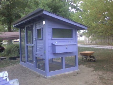 My Purple Coop Purple Chicken Coop, Chicken Coops, Chicken Coop, Coop, Shed, Outdoor Structures, Chicken, Purple, Animals