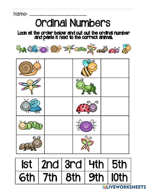 Ordinal Numbers Kindergarten, Ordinal Numbers Worksheets, Nouns Grammar, Number Activities Preschool, Number Worksheets Kindergarten, Communication Activities, Ordinal Numbers, Numbers Kindergarten, 1st Grade Math Worksheets