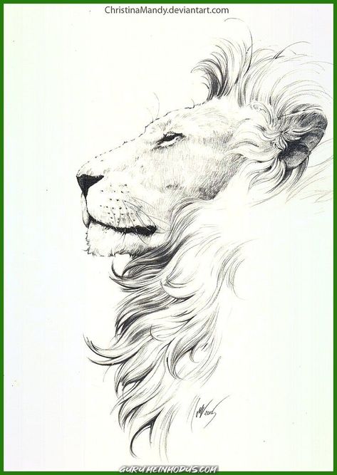 250+ Leo Tattoo Designs (2023) Zodiac Sign Symbol and Horoscope ideas Lion And Lioness Tattoo, Lion Sketch, Tattoo Placements, Lioness Tattoo, Kunst Tattoos, Lion Drawing, Leo Tattoos, Devian Art, Lion Art