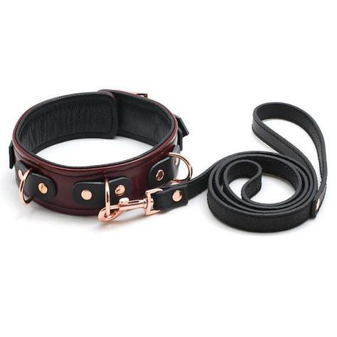 Leather Braclet, Pet Spaces, Puppy Play, Choker Collar, Goth Outfits, Leather Collar, Dog Leash, Collar And Leash, Cute Jewelry