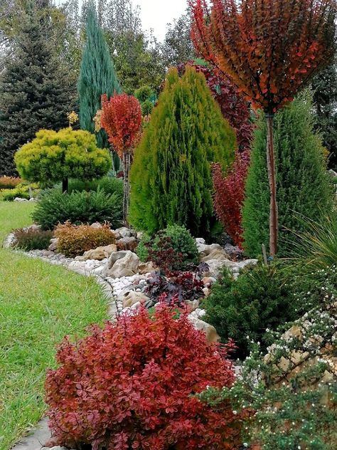 Landscaping Next To Driveway, Front Yard Privacy Landscaping, Dream Garden Backyards, Front Yard Landscaping Design Layout, Evergreen Landscape, Conifers Garden, Evergreen Garden, Privacy Landscaping, Front Yard Garden Design