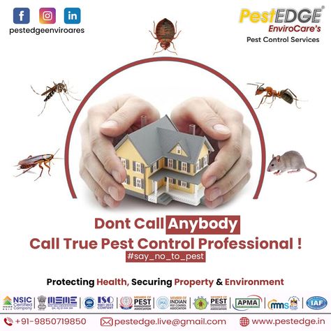 Experience effective and affordable pest control solutions with True Pest Control Professional. Trust our expert team to call when you need to eliminate pests from your home or business. For More Details: ☎ Call : 7517755567 , 9850719850 📨 Email: pestedge.live@gmail.com 🔗 visit: www.pestedge.in #pestcontrolpro #trupestcontrol #pestcontrolservices #callaprofessional #bugexterminator #pestsolutions #residentialpestcontrol #commercialpestcontrol #pestmanagement The Pest, Rodent Control, Mosquito Control, Termite Control, Pest Management, Pest Control Services, Graphic Design Lessons, Food Safety, Pest Control