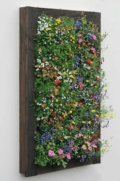 Shed Inspiration, Taman Diy, Garden Wall Designs, Jardim Diy, Vertical Garden Design, Tanaman Pot, Vertical Vegetable Garden, Vertical Herb Garden, Vertical Garden Wall