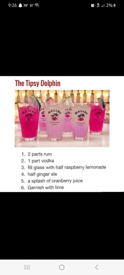 Tipsy Dolphin, Fruity Mixed Drinks, Raspberry Lemonade, Ginger Ale, Cranberry Juice, Refreshing Drinks, 21st Birthday, Mixed Drinks, Lemonade