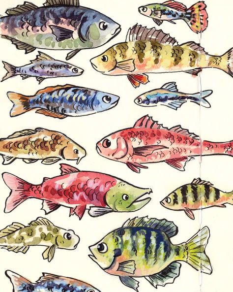 A bunch of fishies from my sketchbook! This is also from July's package - it's all about fish this month 🐟🐠 #sketchbook #sketchbookspread #sketchbookpage #fish #illustration #watercolour Types Of Fish Drawing, Cool Looking Fish, Fish Drawing Abstract, Sockeye Salmon Drawing, Fishies Drawing, Cute Fish Doodle, Colorful Animal Drawings, Fish Pen Drawing, Fish Drawing Aesthetic